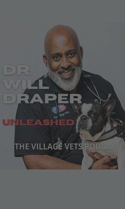 the village vets buckhead